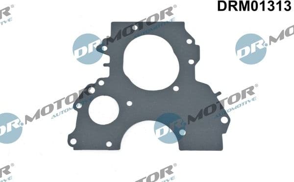 Gasket, timing case DRM01313