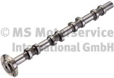 Camshaft 50007028