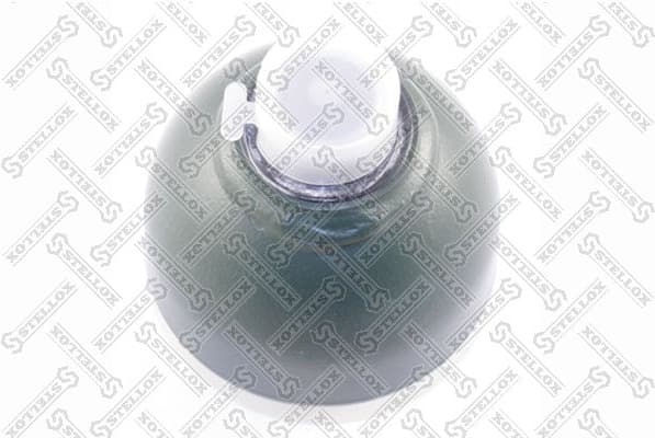 Pressure Accumulator, pneumatic suspension 70-00043-SX