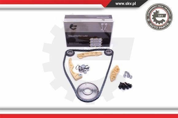 Timing Chain Kit 21SKV186