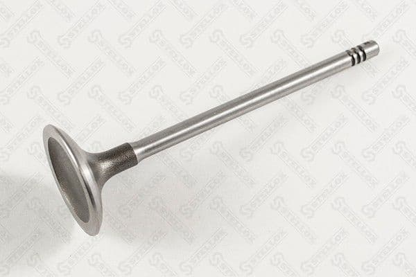 Intake Valve 01-24373-SX