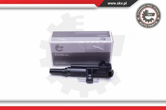 Ignition Coil 03SKV319