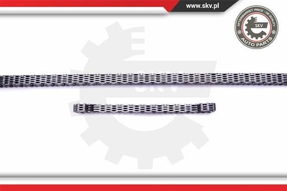 Timing Chain Kit 21SKV243 - image 3