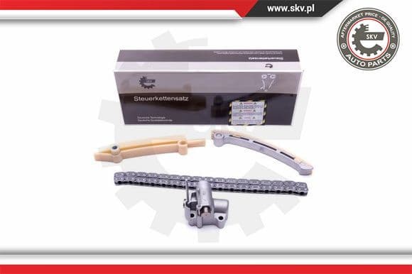 Timing Chain Kit 21SKV165
