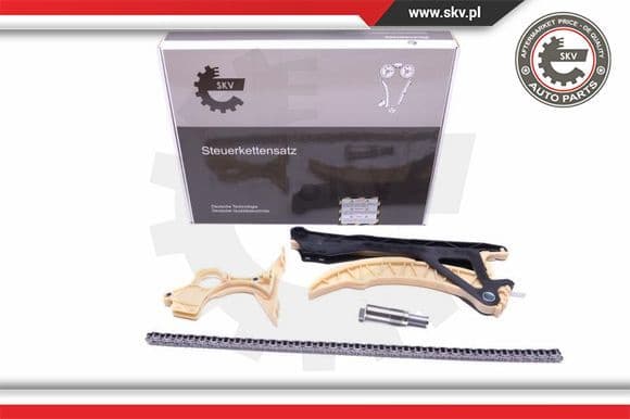 Timing Chain Kit 21SKV146