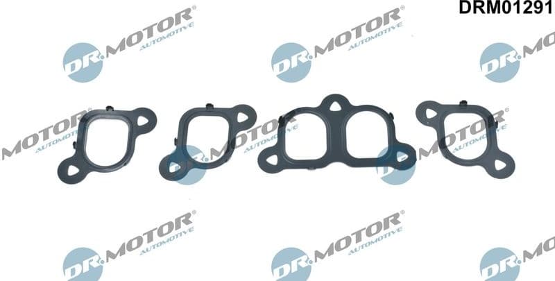 Gasket Set, intake manifold DRM01291