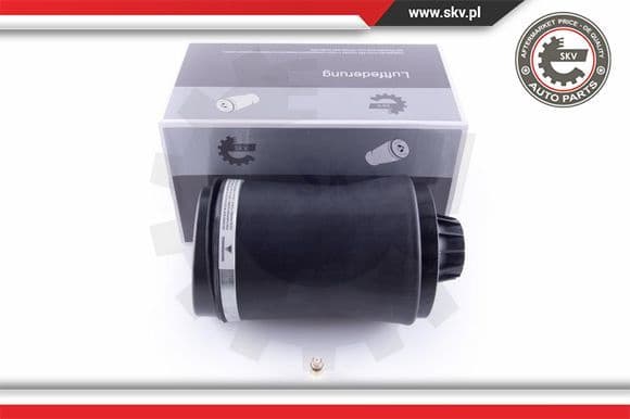 Air Spring, suspension 58SKV027