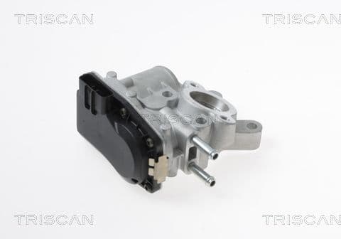 EGR Valve 8813 14100