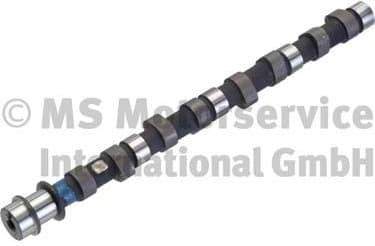 Camshaft 50006310