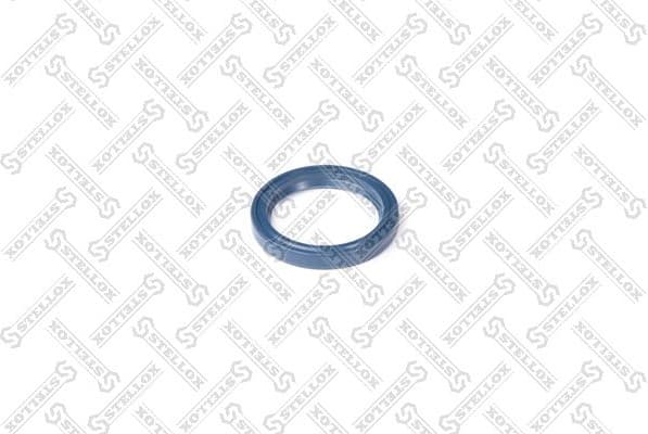 Seal Ring, steering knuckle 81-01295-SX