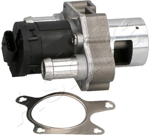 EGR Valve 150-00-0501