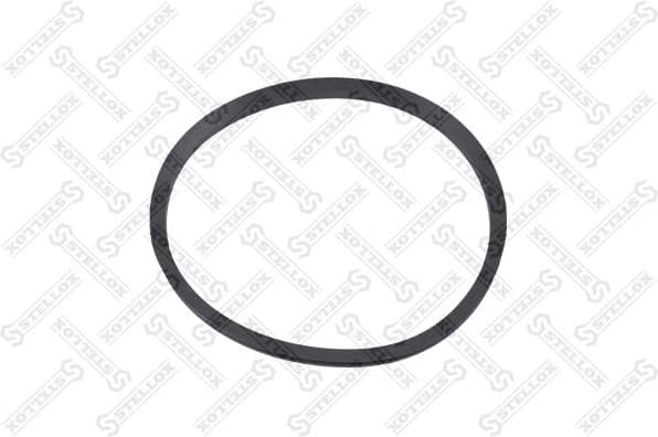 Seal Ring, steering knuckle (leaf spring hanger) 81-01217-SX