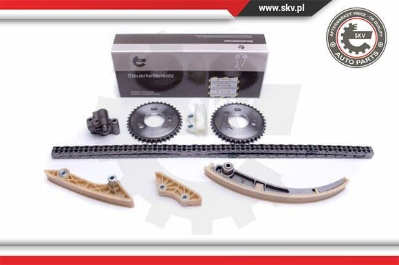 Timing Chain Kit 21SKV245