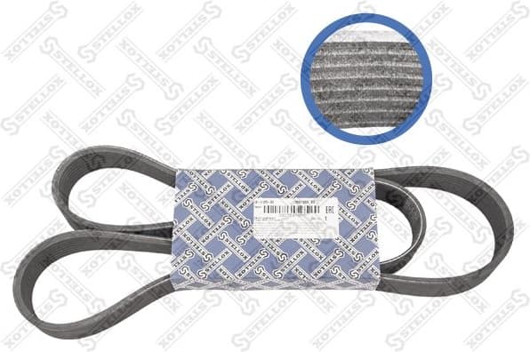 V-ribbed Belt 08-01365-SX