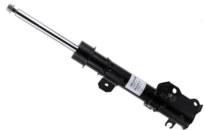 Shock Absorber 318 234