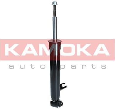 Shock Absorber 2000666