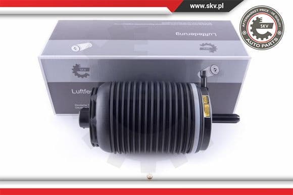 Air Spring, suspension 58SKV031