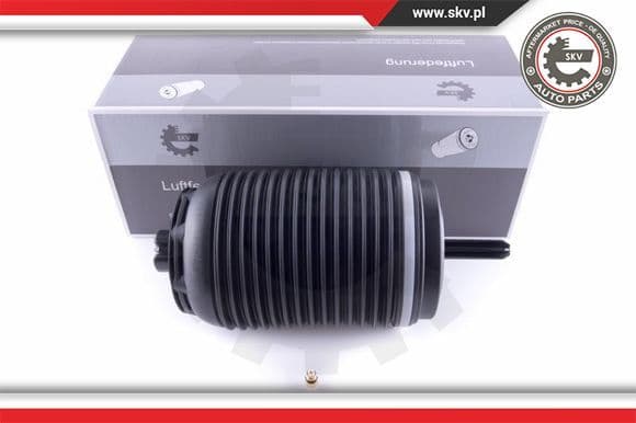 Air Spring, suspension 58SKV030