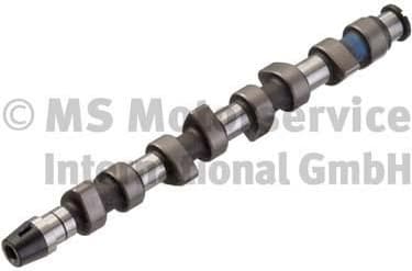 Camshaft 50006204