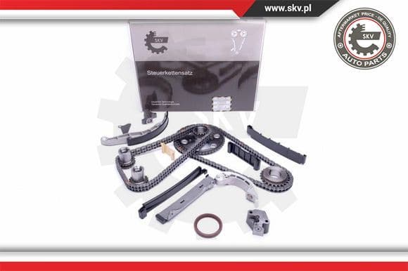 Timing Chain Kit 21SKV203
