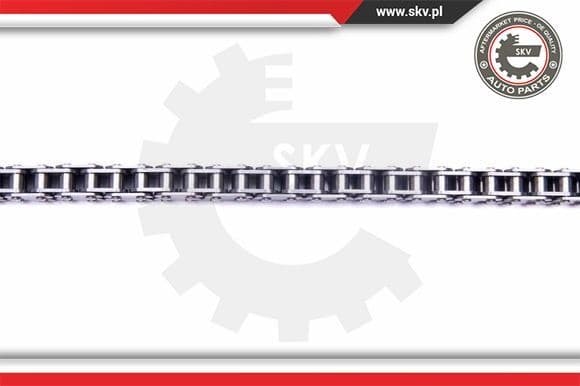 Timing Chain Kit 21SKV210