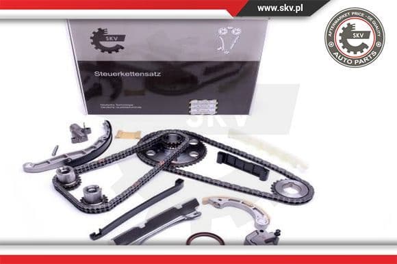 Timing Chain Kit 21SKV204