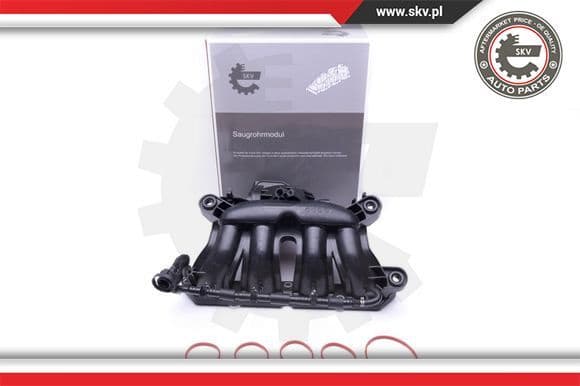 Intake Manifold Module 49SKV045