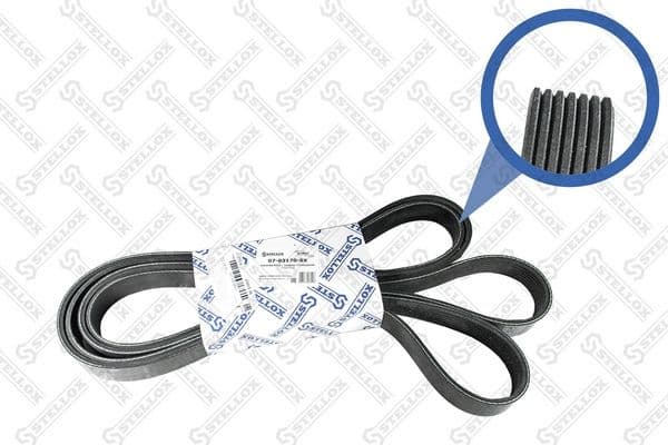 V-ribbed Belt 07-03170-SX