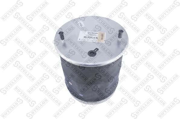 Bellow, air suspension 90-92831-SX