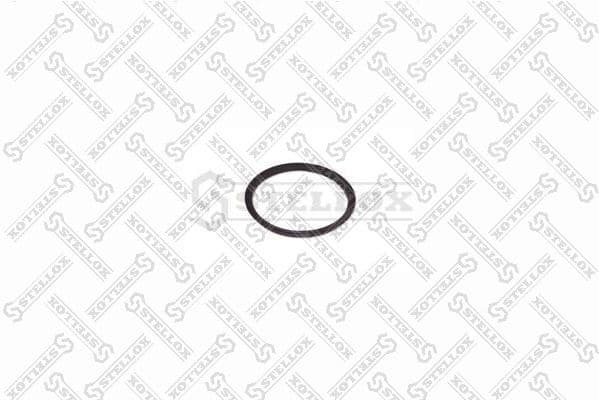 Seal Ring, spring link 81-01001-SX