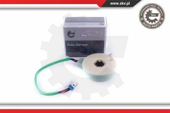 Steering Angle Sensor 17SKV479