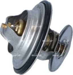 Thermostat, coolant EASY FIT 725100