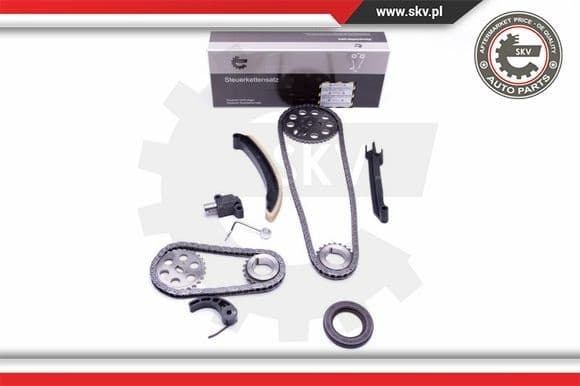 Timing Chain Kit 21SKV209