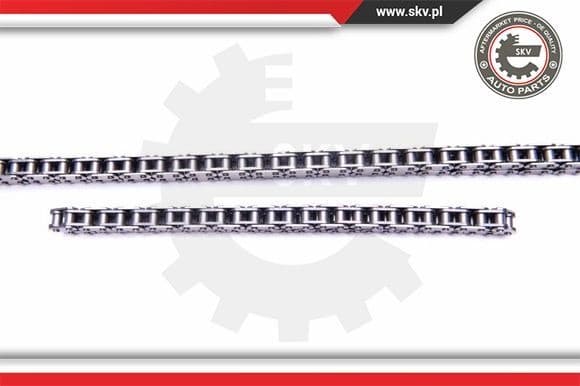 Timing Chain Kit 21SKV209 - image 3