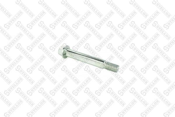 Camber Correction Screw 79-01105-SX