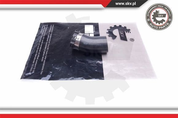 Charge Air Hose 43SKV383