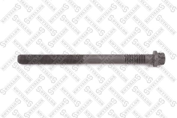 Cylinder Head Bolt 81-09013-SX