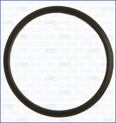 Seal, thermostat 00520000