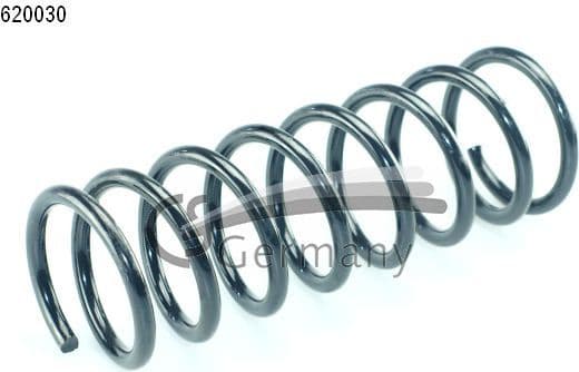 Suspension Spring 14620030