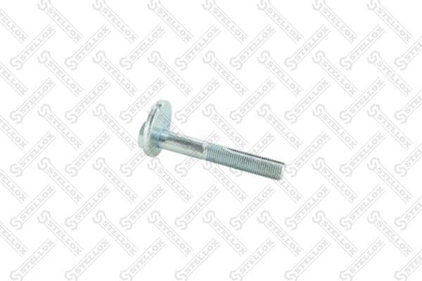 Camber Correction Screw 79-01104-SX