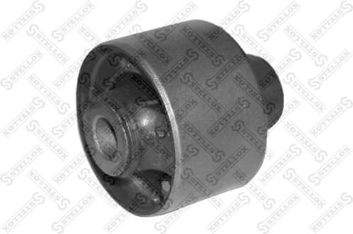 Mounting, transfer case 77-01028-SX
