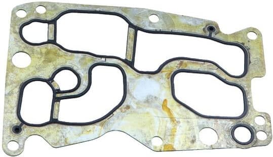 Gasket, oil cooler 70-0150
