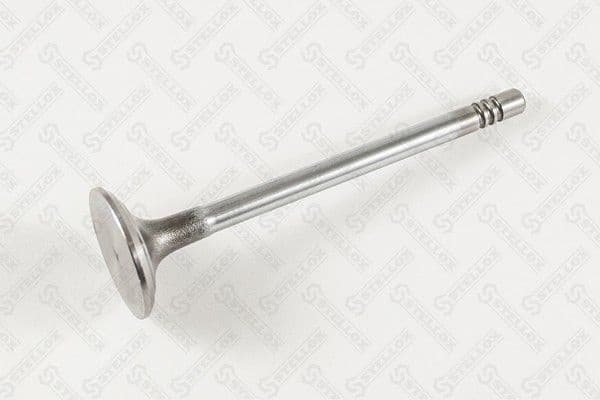 Intake Valve 01-24350-SX