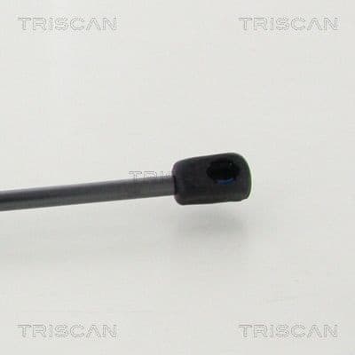 Gas Spring, boot/cargo area 8710 292050 - image 2