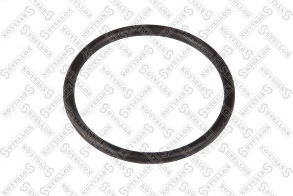 Seal Ring 89-01096-SX