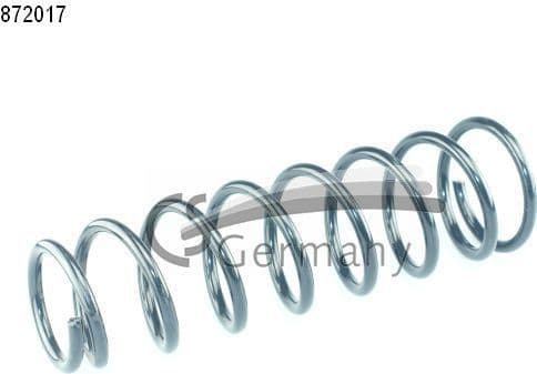 Suspension Spring 14872017