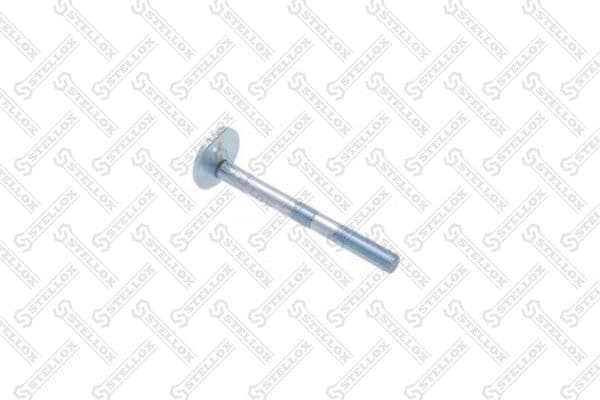 Camber Correction Screw 79-01111-SX