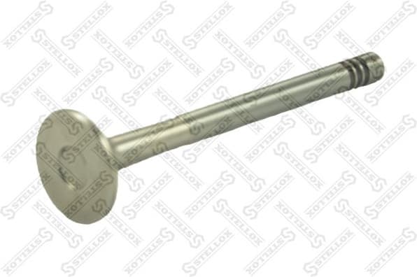 Exhaust Valve 01-24119-SX
