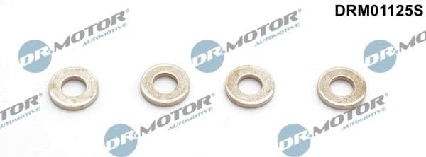 Heat Shield, injection system DRM01125S