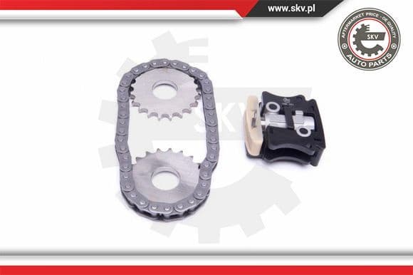 Timing Chain Kit 21SKV145 - image 2